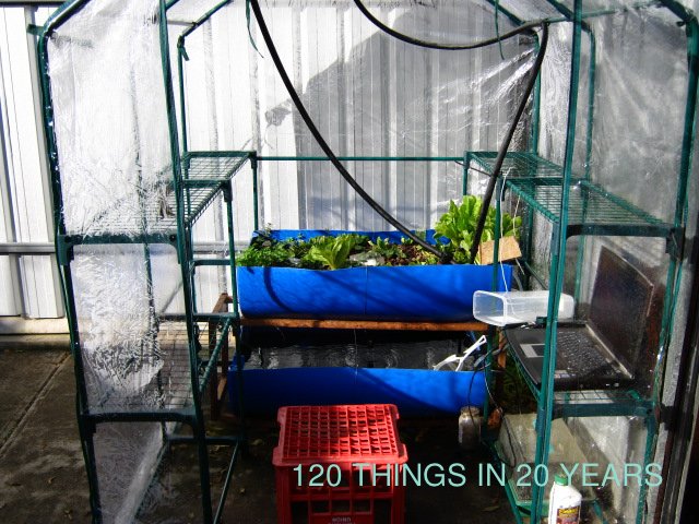 120 Things in 20 years - Aquaponics - My new office hothouse.jpg