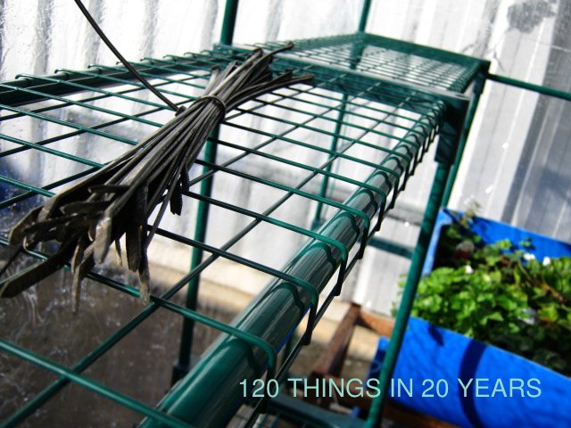 120 Things in 20 years - Aquaponics - hothouse shelving.jpg