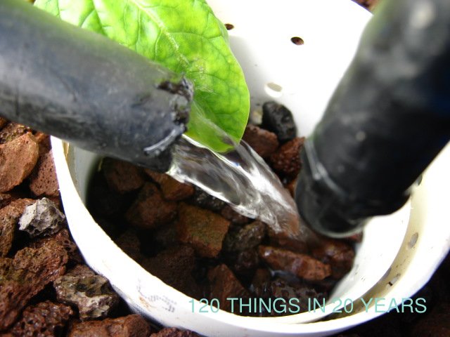 120 Things in 20 years - Aquaponics - solar fishtank hearter exit.jpg