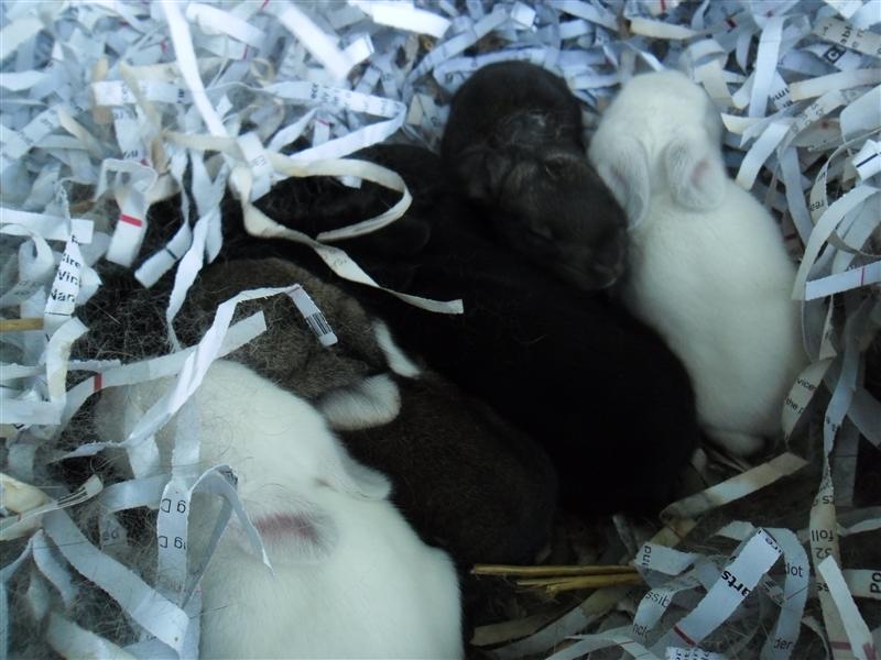 SAM_0198 (Custom).JPG