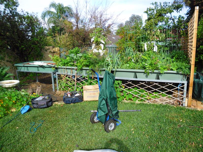 SAM_0352 (Custom).JPG