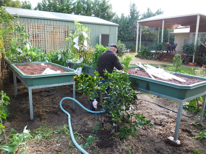 SAM_0353 (Custom).JPG