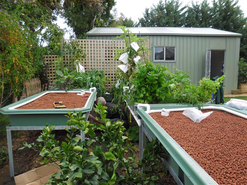 SAM_0354 (Custom).JPG