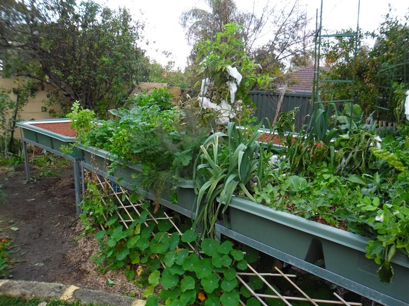 SAM_0357 (Custom).JPG