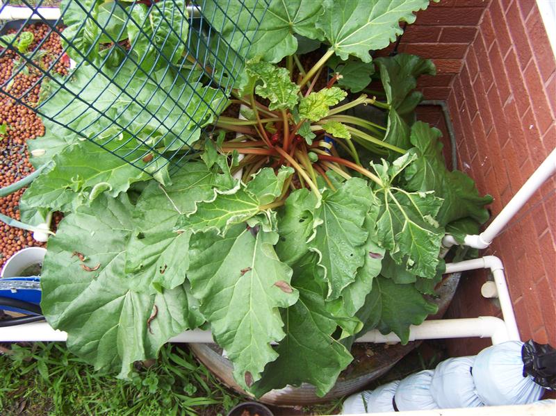 100_6405 (Custom).JPG