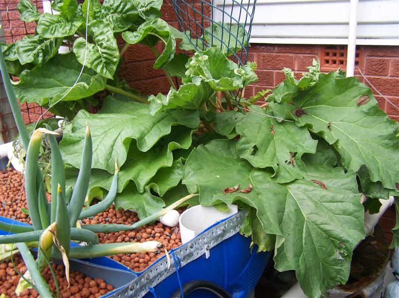 100_6406 (Custom).JPG