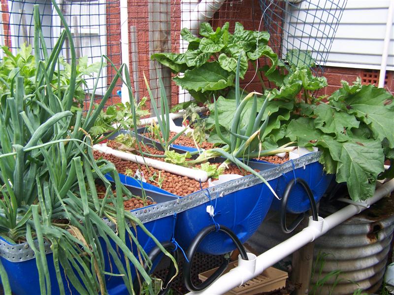 100_6407 (Custom).JPG