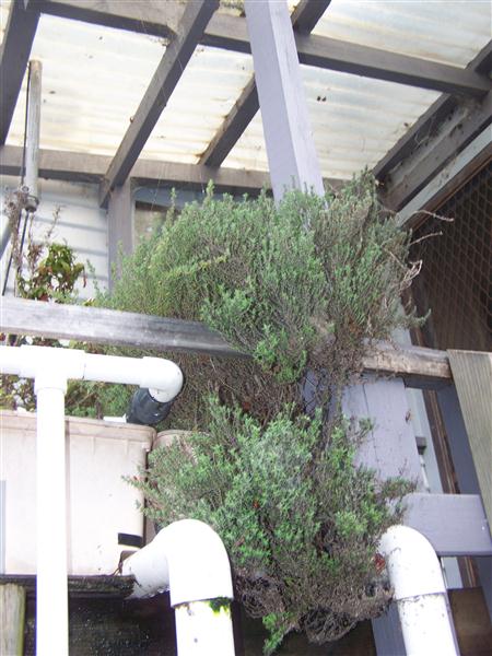 100_6408 (Custom).JPG