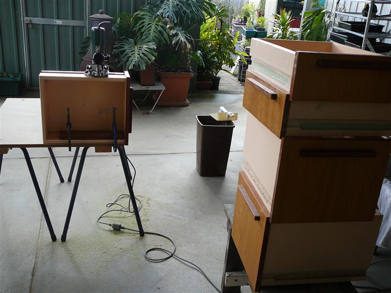 P1050558 (Custom).JPG