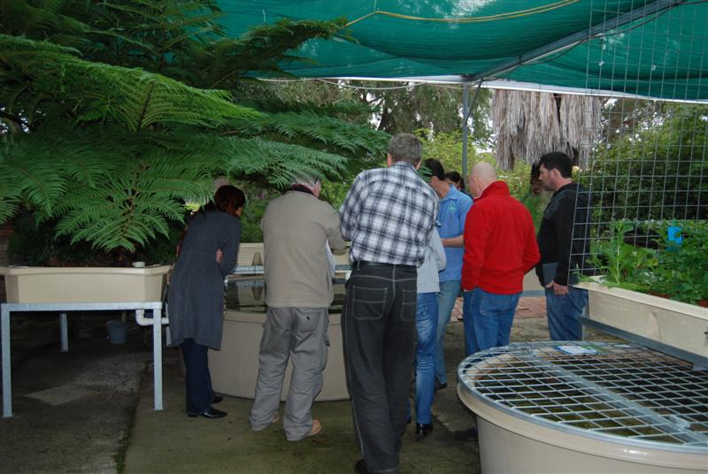 DSC_0212 (Medium).JPG