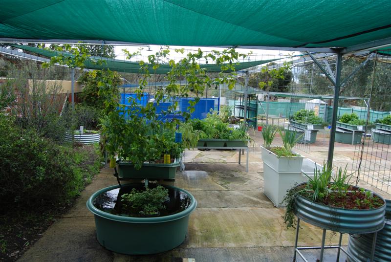 DSC_0190 (Medium).JPG