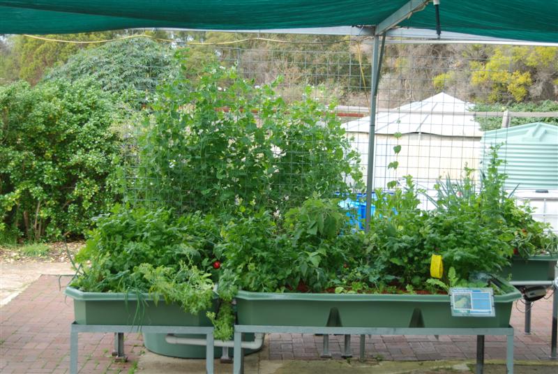 DSC_0188 (Medium).JPG