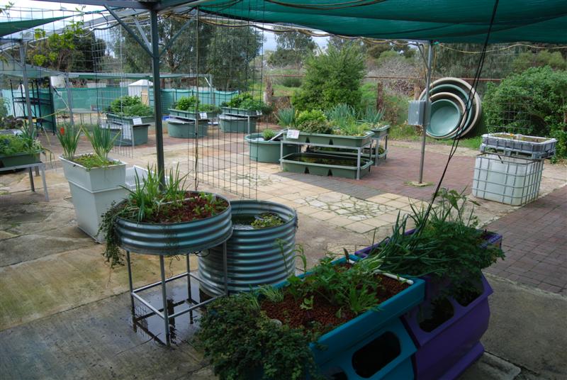 DSC_0189 (Medium).JPG