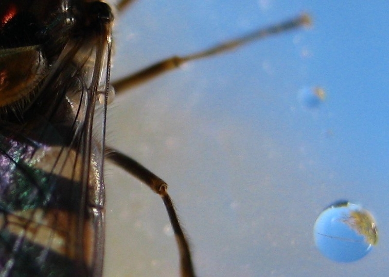 120 Things in 20 Years - Aquaponics - BYAP - This years landscape is a bit bigger - Is there a 2012 Photo Comp.jpg