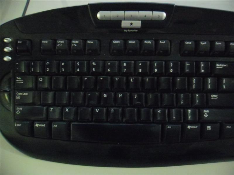 SAM_0407 (Medium).JPG