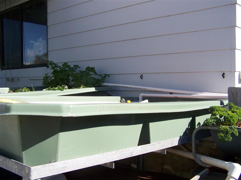 100_6425 (Custom).JPG