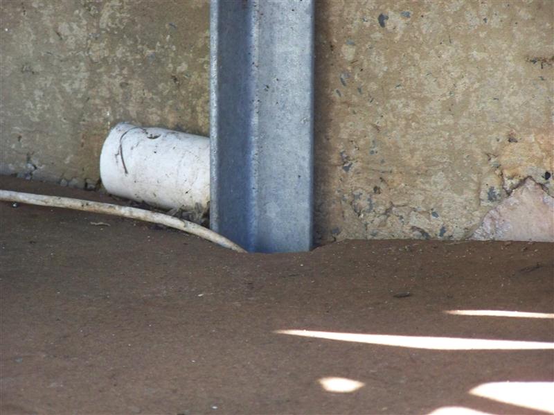 100_6426 (Custom).JPG