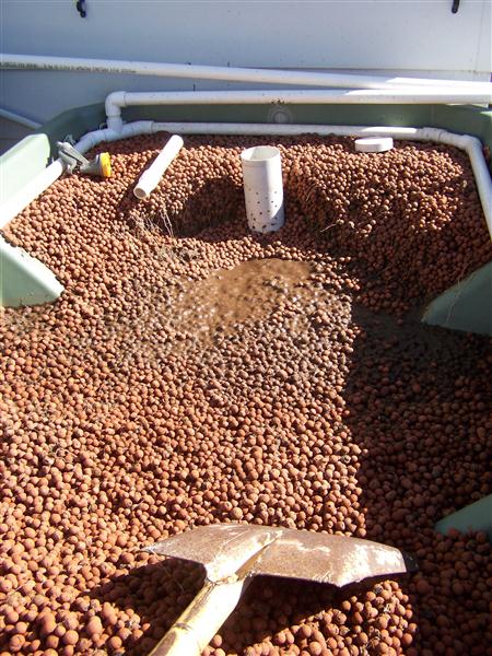 100_6427 (Custom).JPG