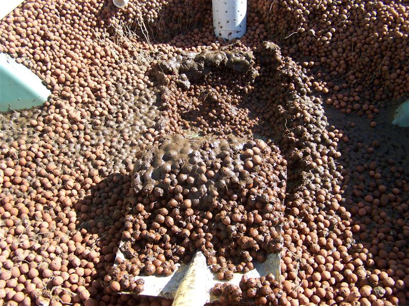 100_6428 (Custom).JPG