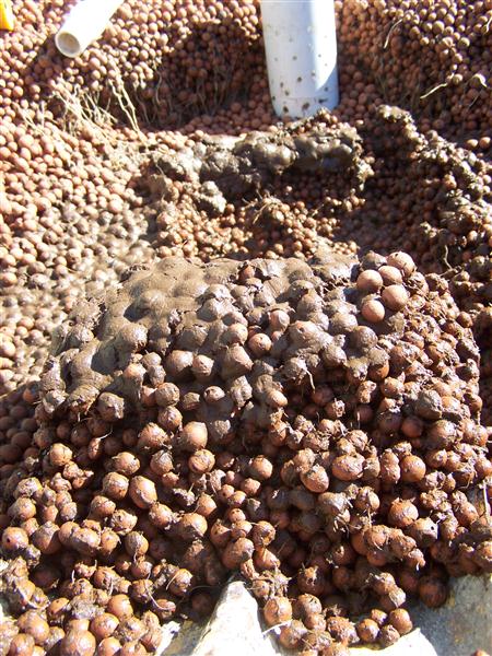 100_6429 (Custom).JPG