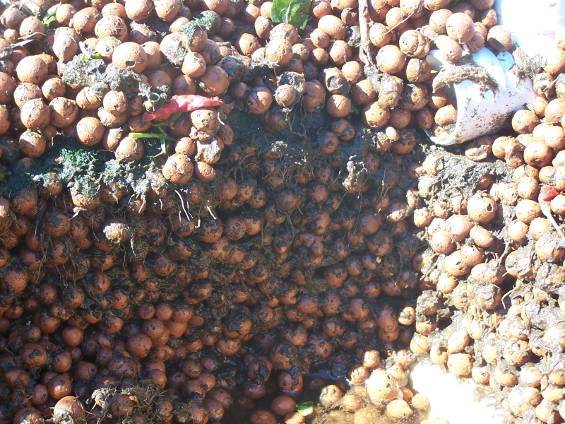 Buildup in gravel.jpg