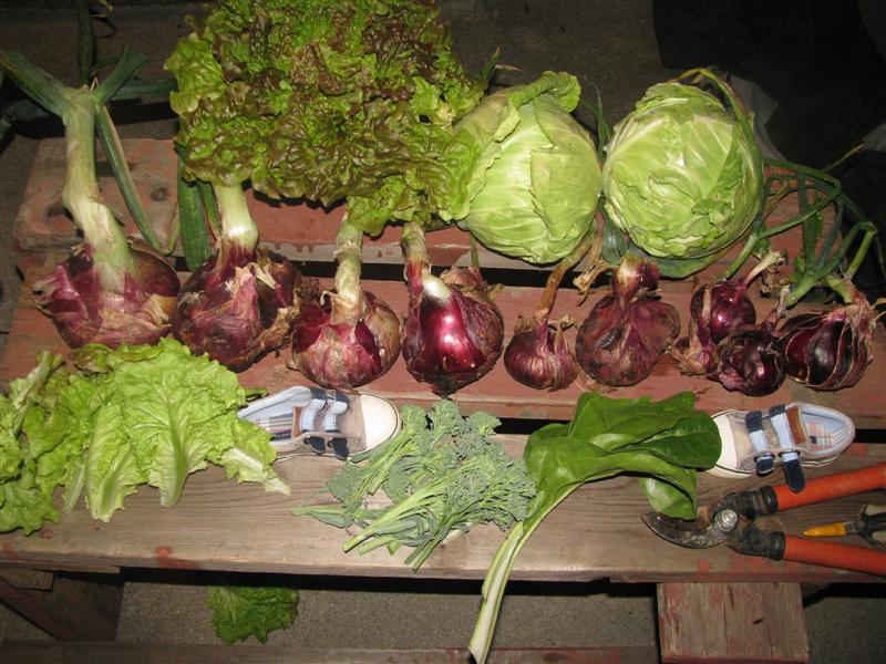 IMG_6343 (Custom).JPG