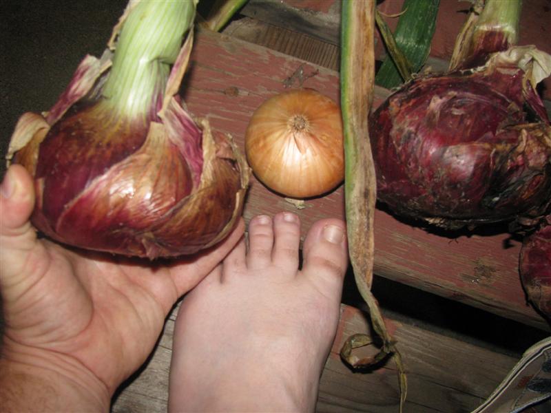 IMG_6347 (Custom).JPG