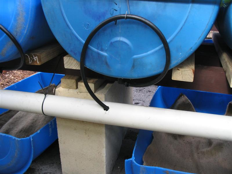 looped autosiphon.jpg