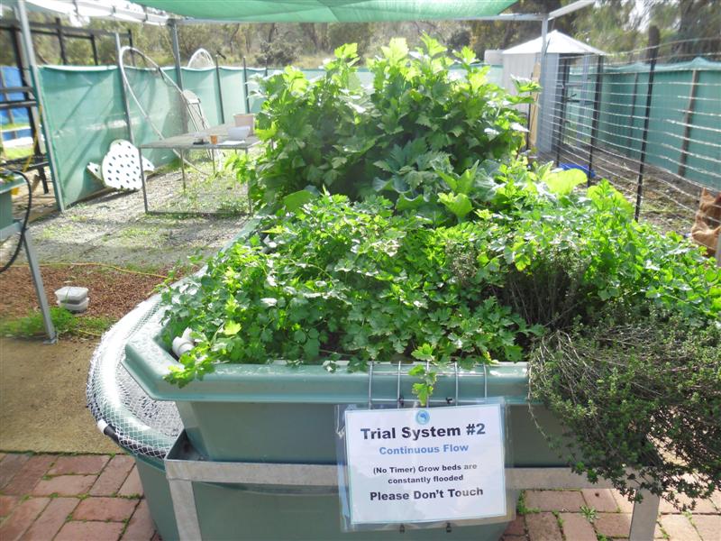 SAM_0421 (Medium).JPG