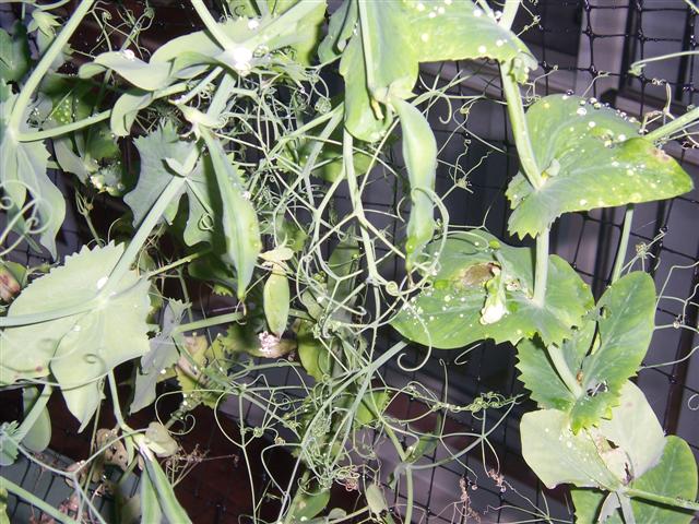 100_1992 (Small).jpg