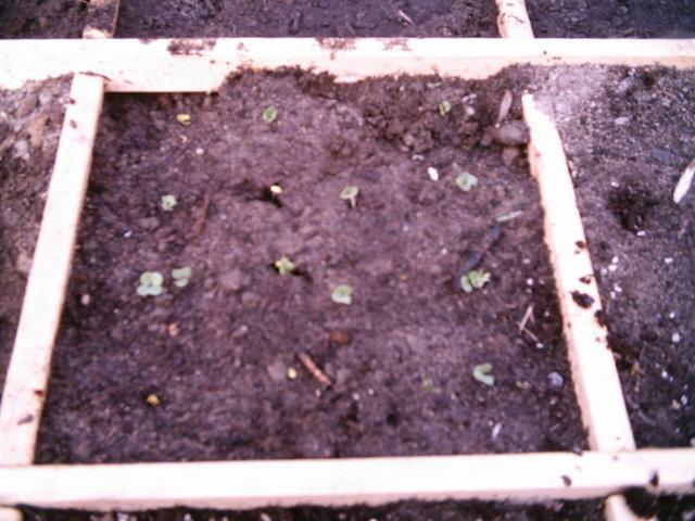 20070503 013 (Small).jpg