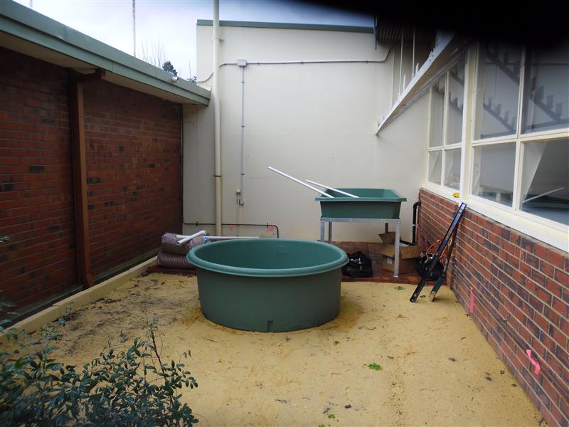 SAM_0538 (Custom).JPG