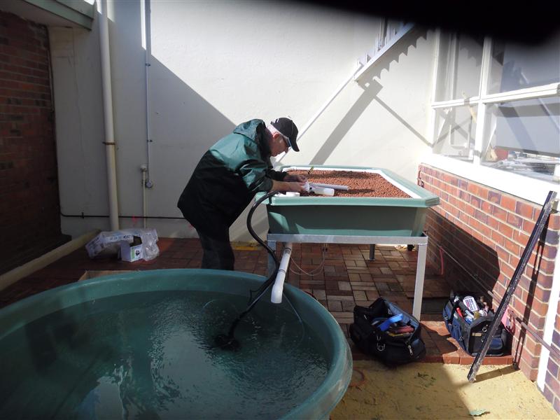 SAM_0541 (Custom).JPG