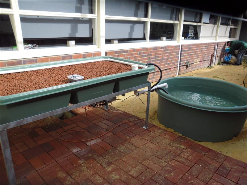 SAM_0543 (Custom).JPG