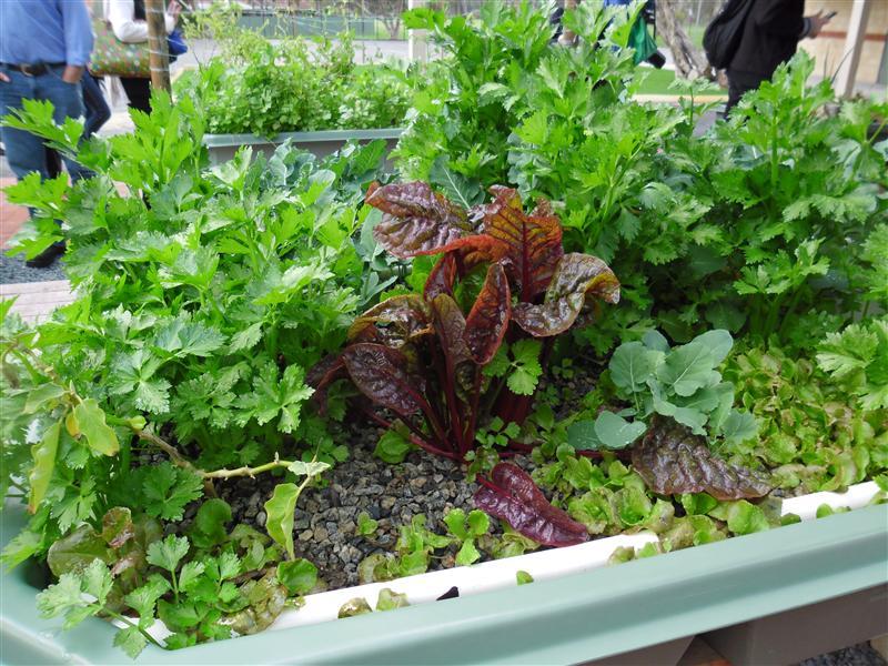 SAM_0477 (Custom).JPG