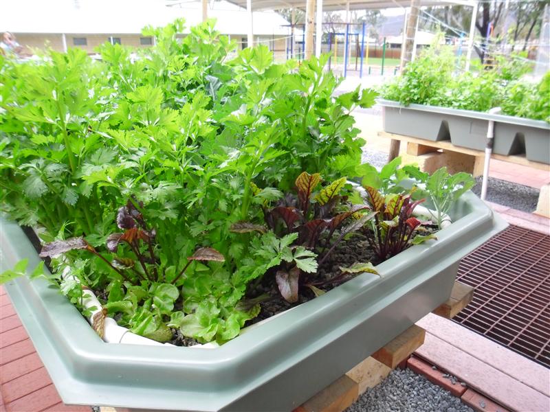 SAM_0515 (Custom).JPG