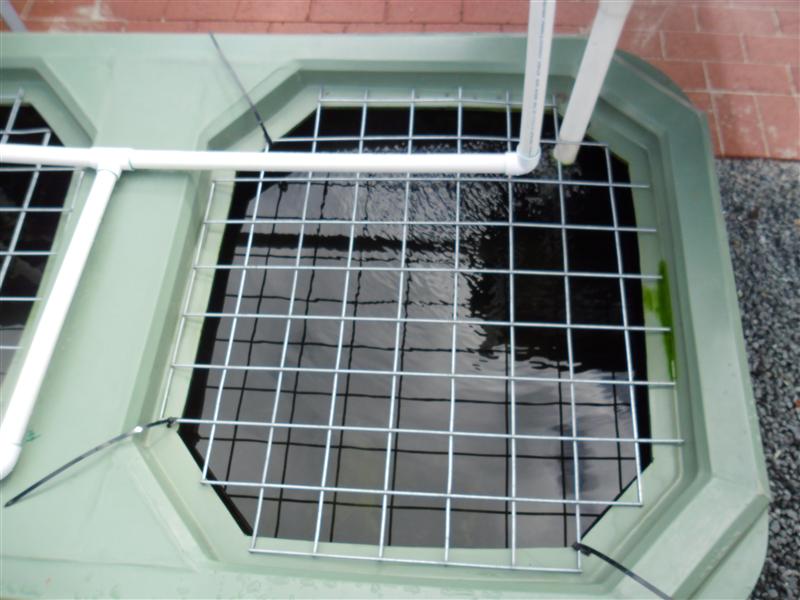 SAM_0482 (Custom).JPG