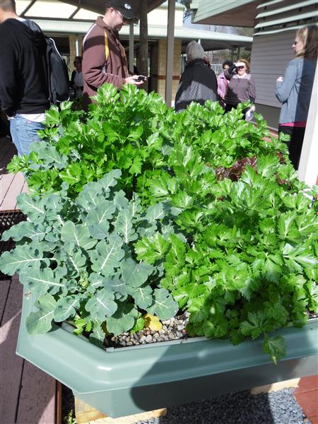 SAM_0483 (Custom).JPG