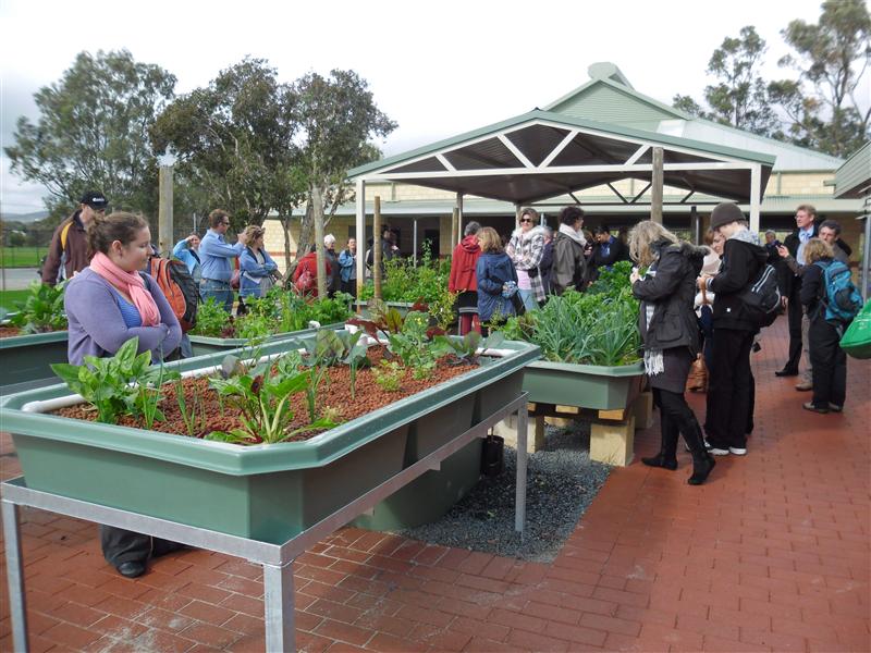 SAM_0487 (Custom).JPG