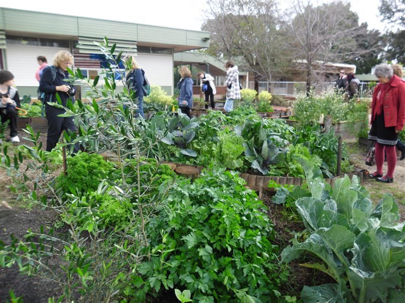 SAM_0494 (Custom).JPG