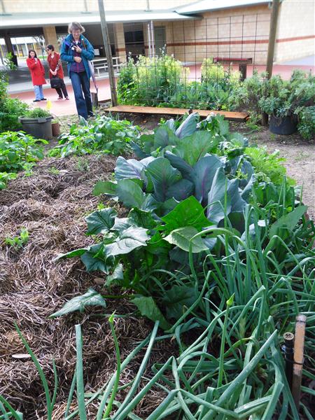 SAM_0501 (Custom).JPG