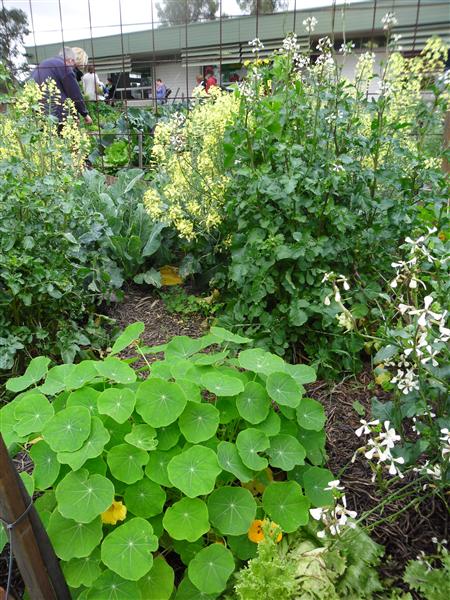 SAM_0508 (Custom).JPG