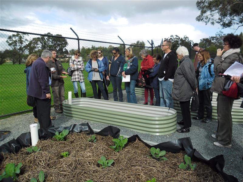 SAM_0503 (Custom).JPG