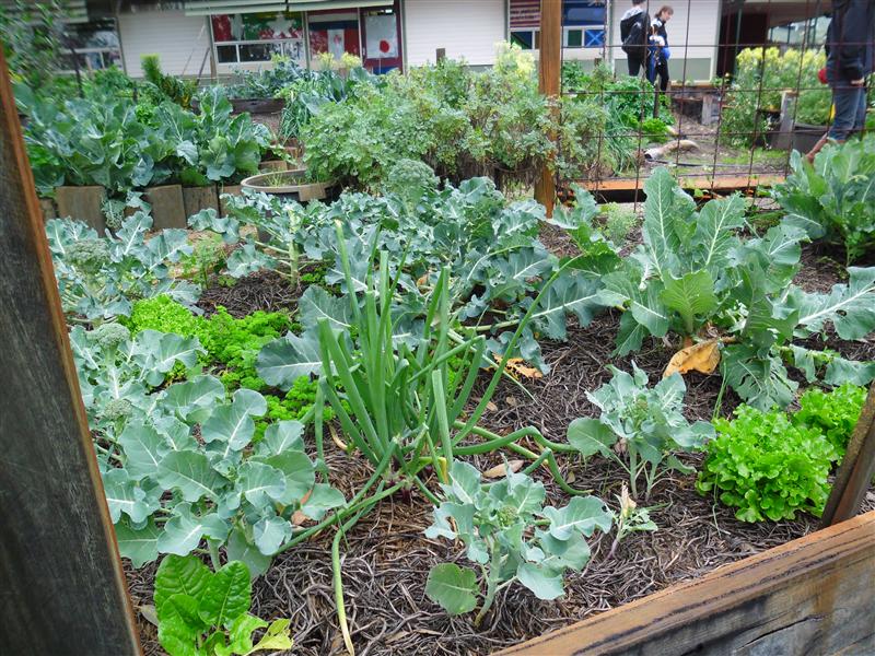 SAM_0513 (Custom).JPG