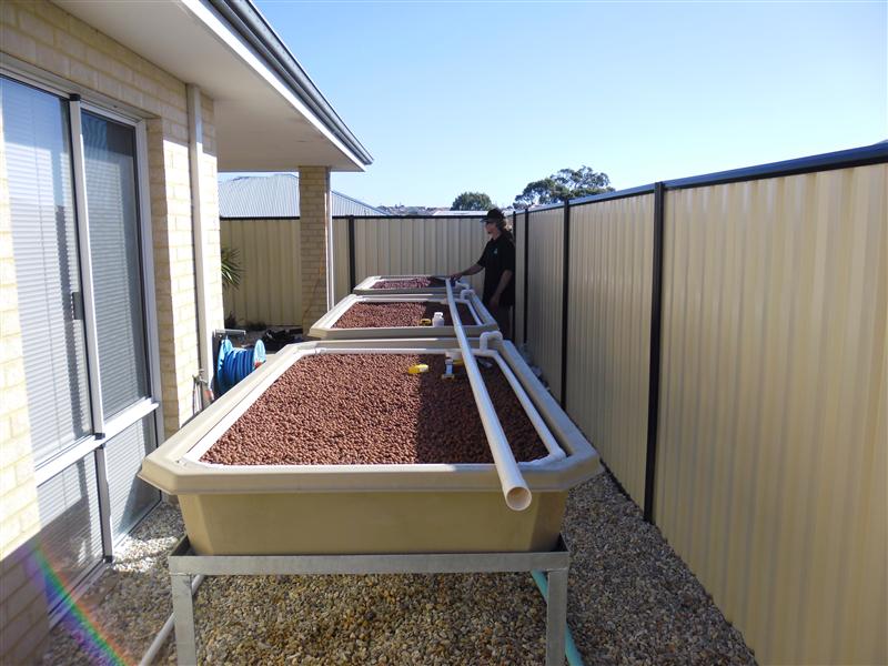 SAM_0236 (Custom).JPG