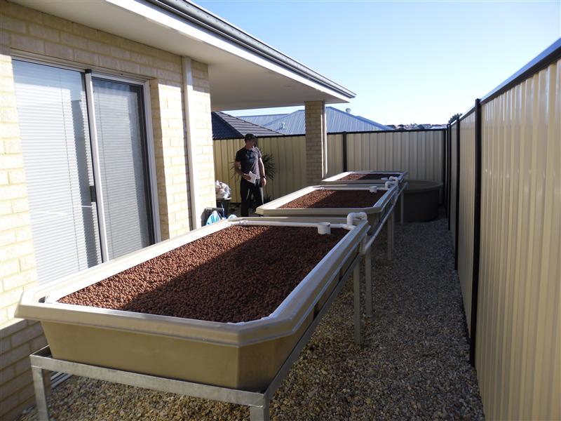 SAM_0240 (Custom).JPG