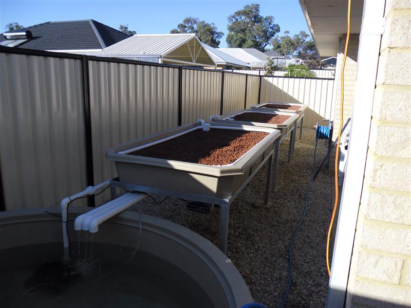 SAM_0241 (Custom).JPG