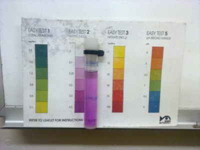 Nitrite 14 8 2011.jpg