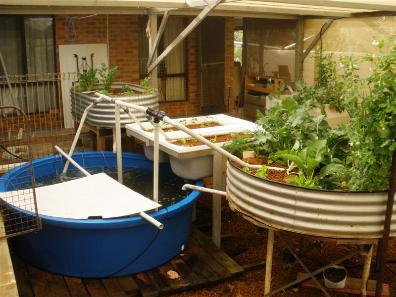 P8152141 (Medium).JPG