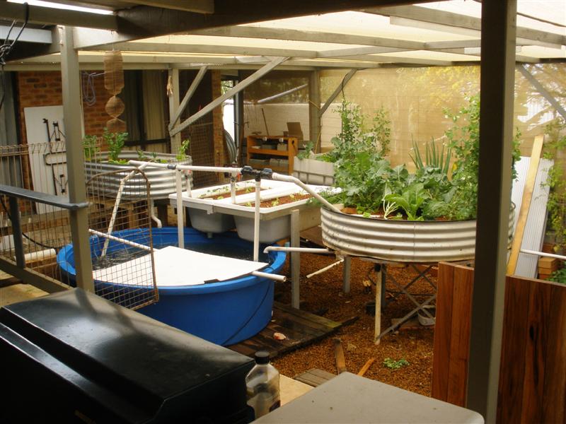 P8152142 (Medium).JPG